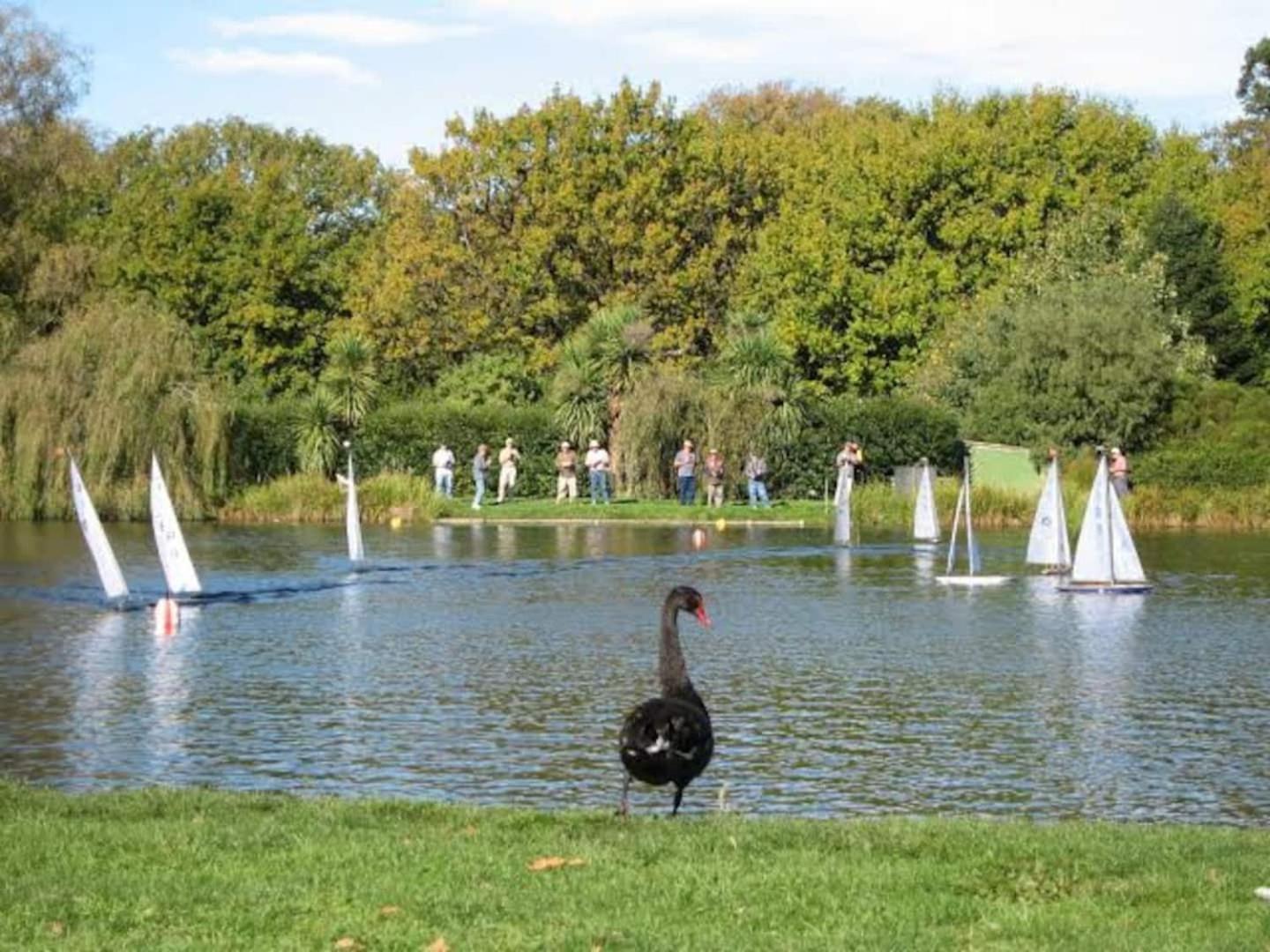 Hagley Park Hidden Gem Lägenhet Christchurch Exteriör bild